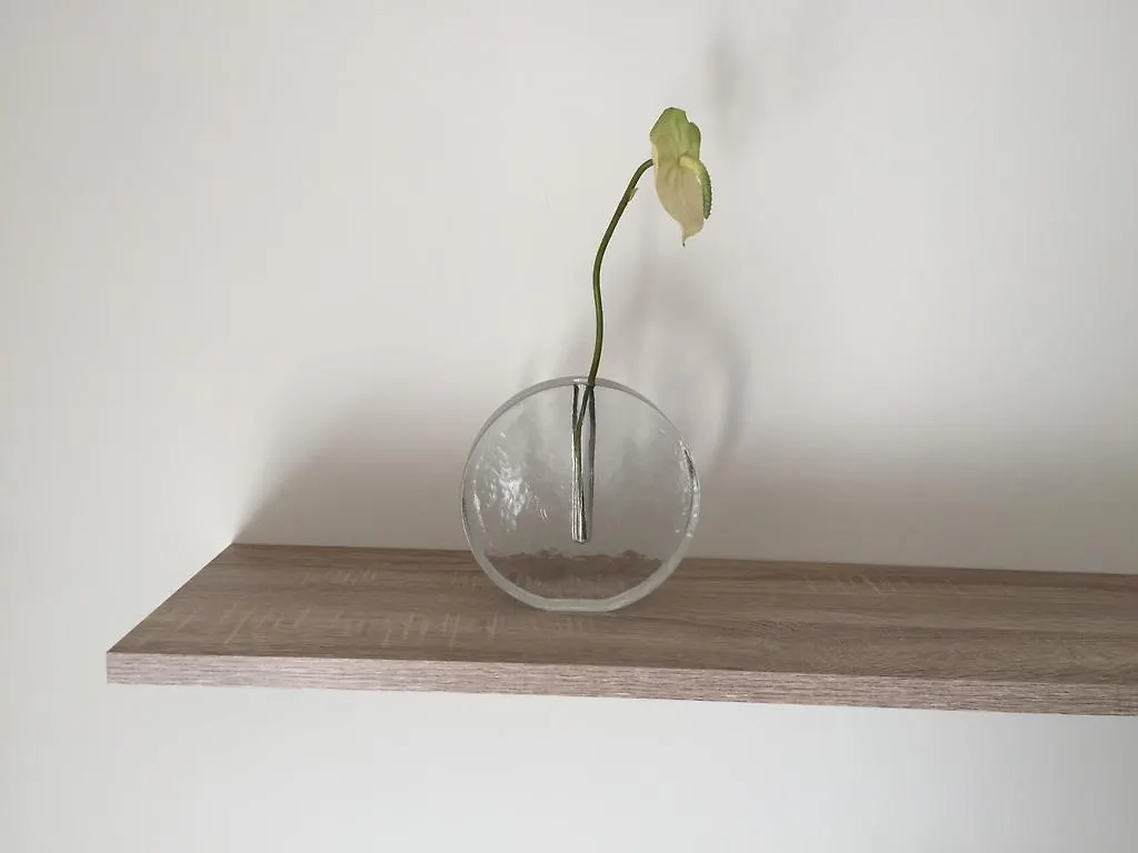 Piso Céntrico De 100 M2 Appartement Gerona